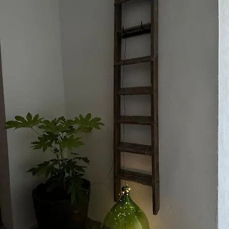 דירה Rifugio Del - Con Cortile Interno סטרסה